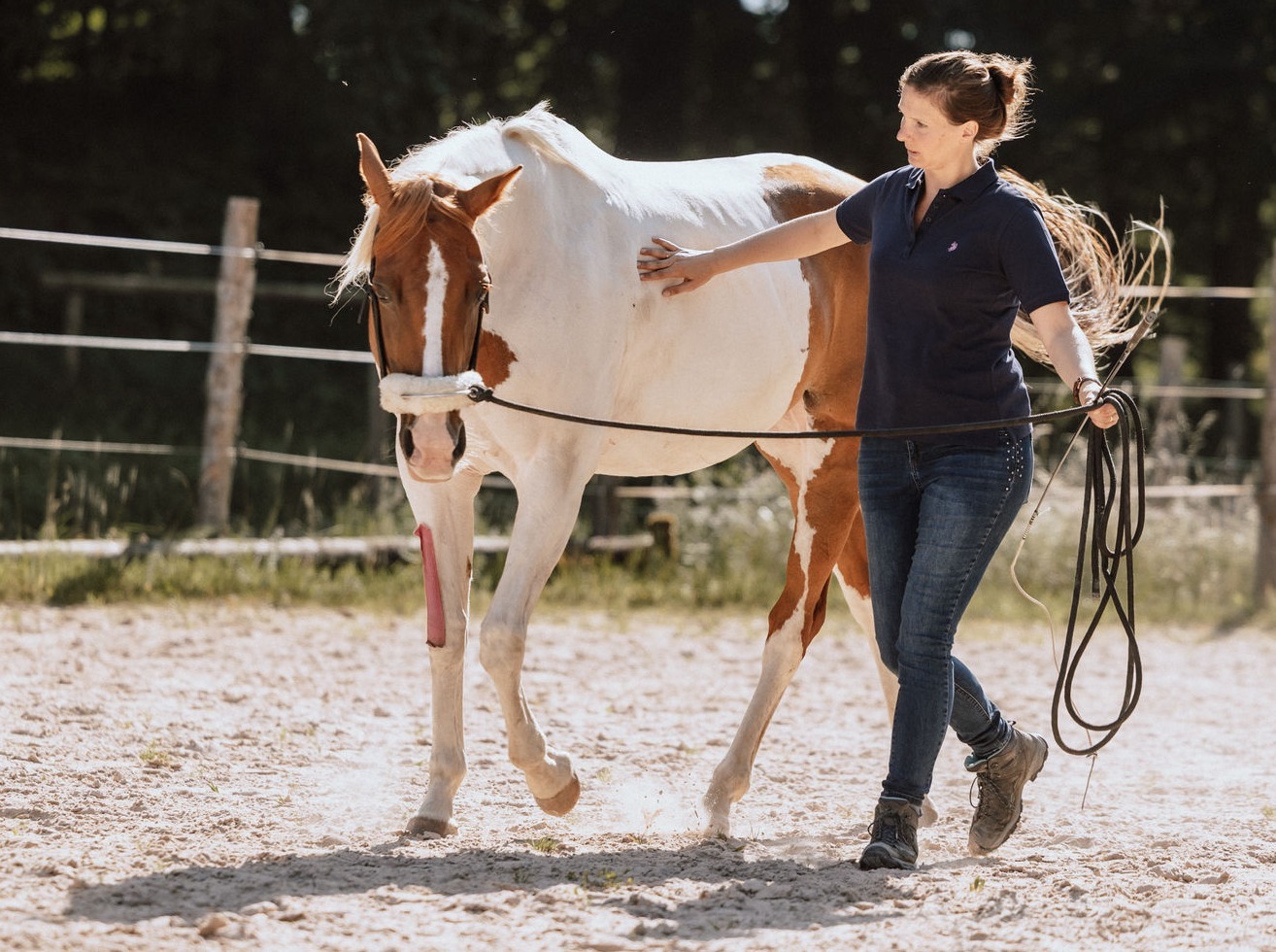 103 - _INA1409 103 - _INA1409