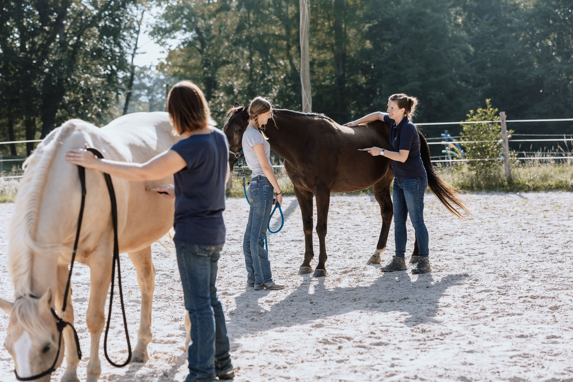 215 - _IN21470 215 - _IN21470