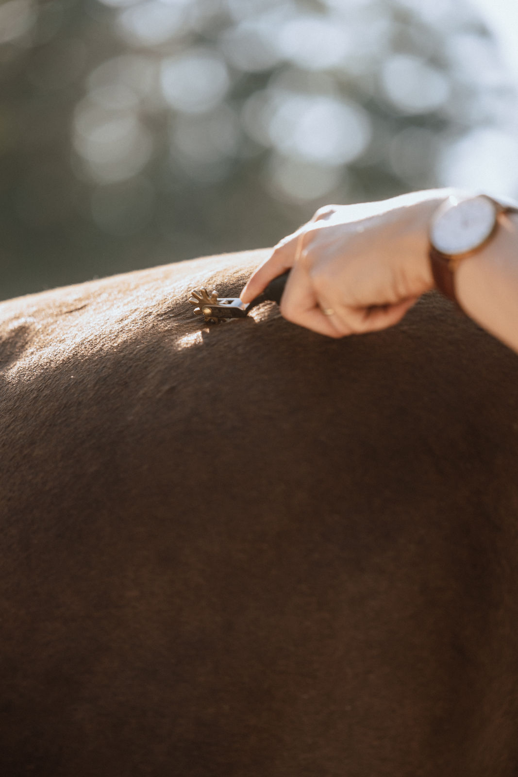 228 - _INA1589 228 - _INA1589