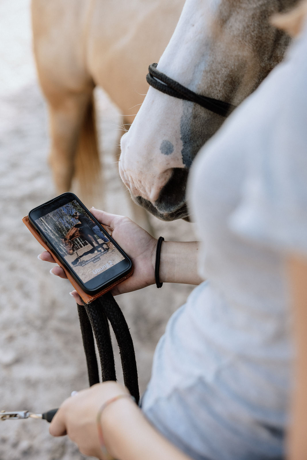 414 - _IN21491 414 - _IN21491