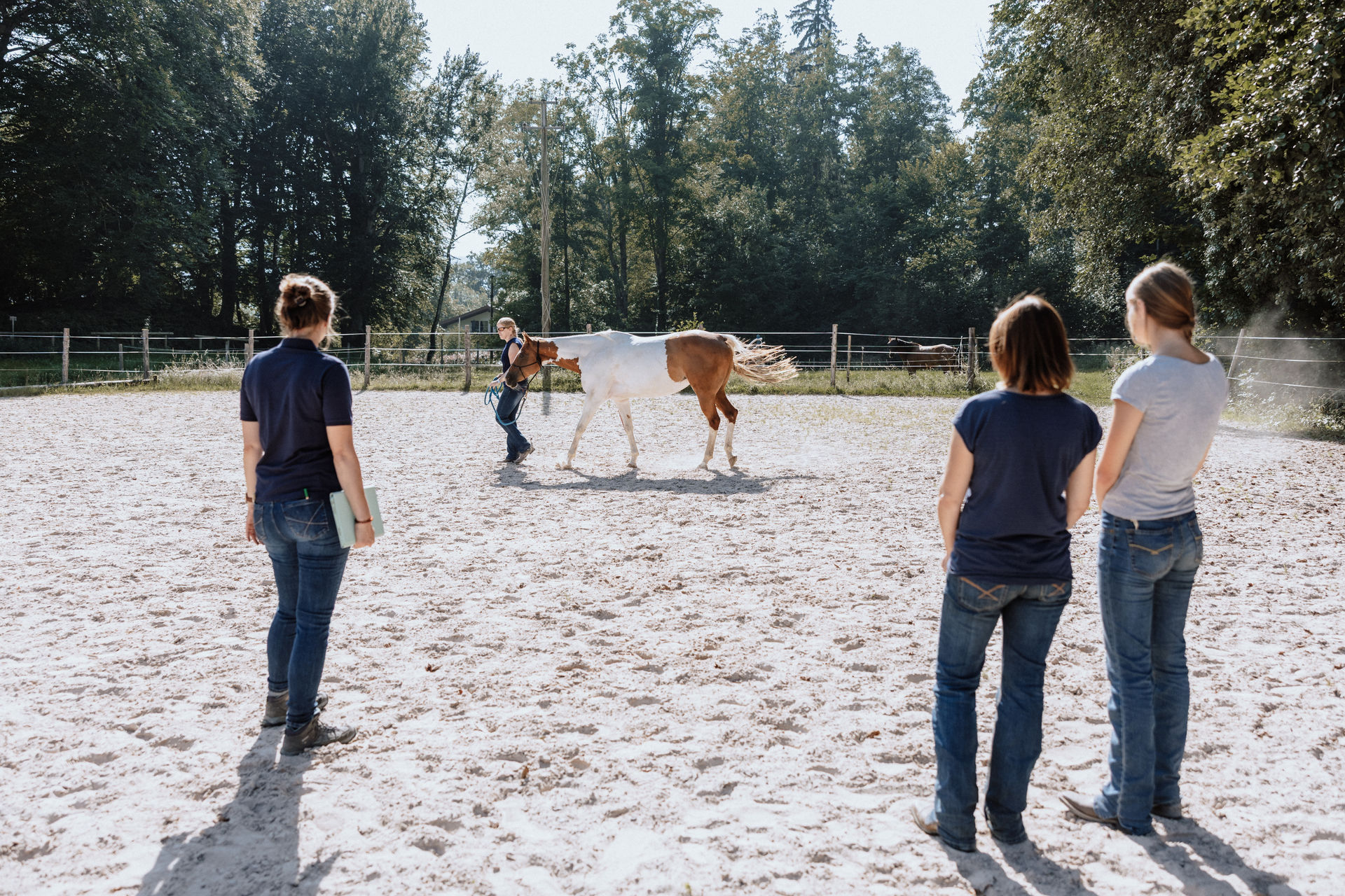 68 - _IN21426 68 - _IN21426