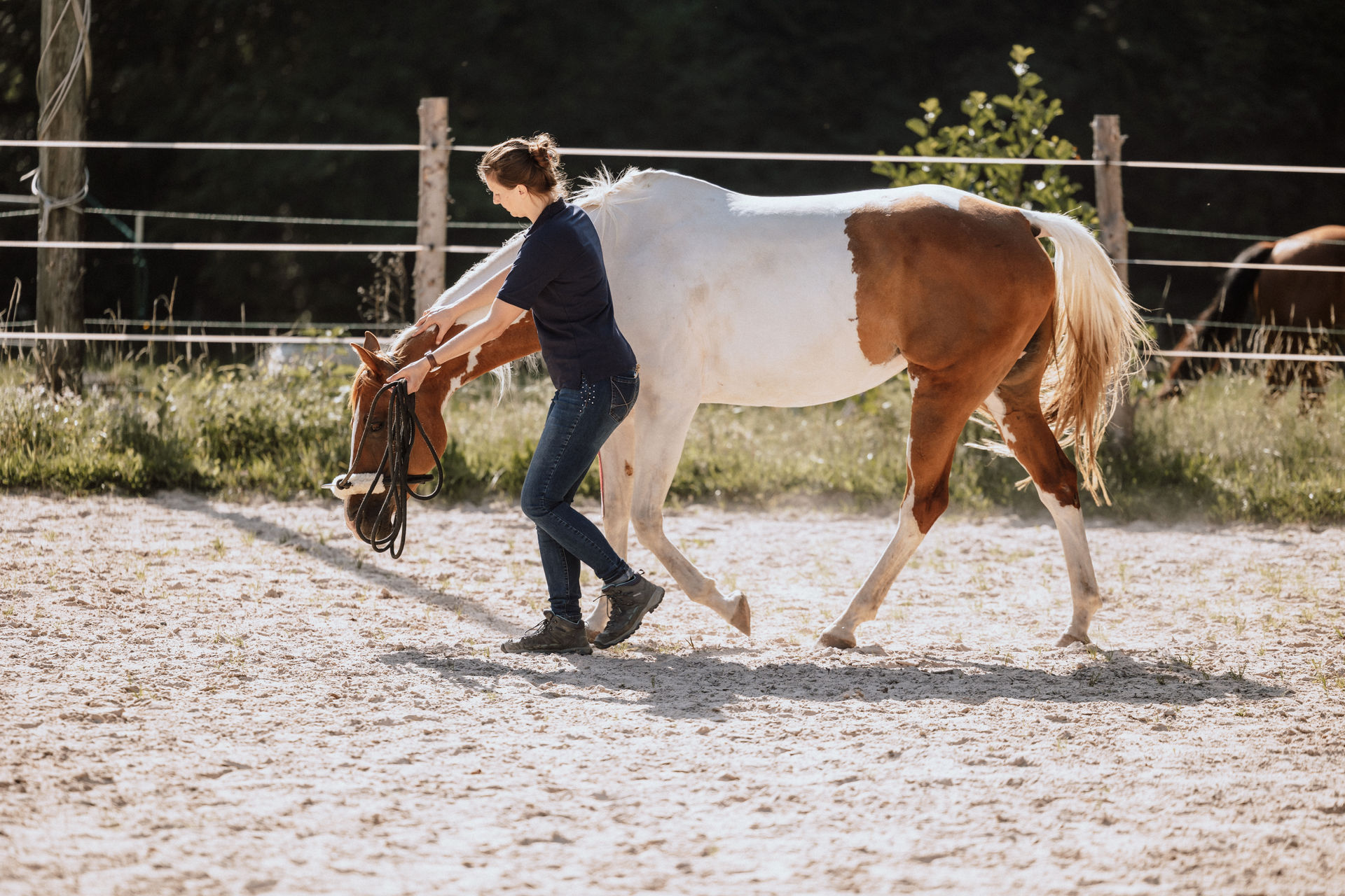 86 - _INA1388 86 - _INA1388